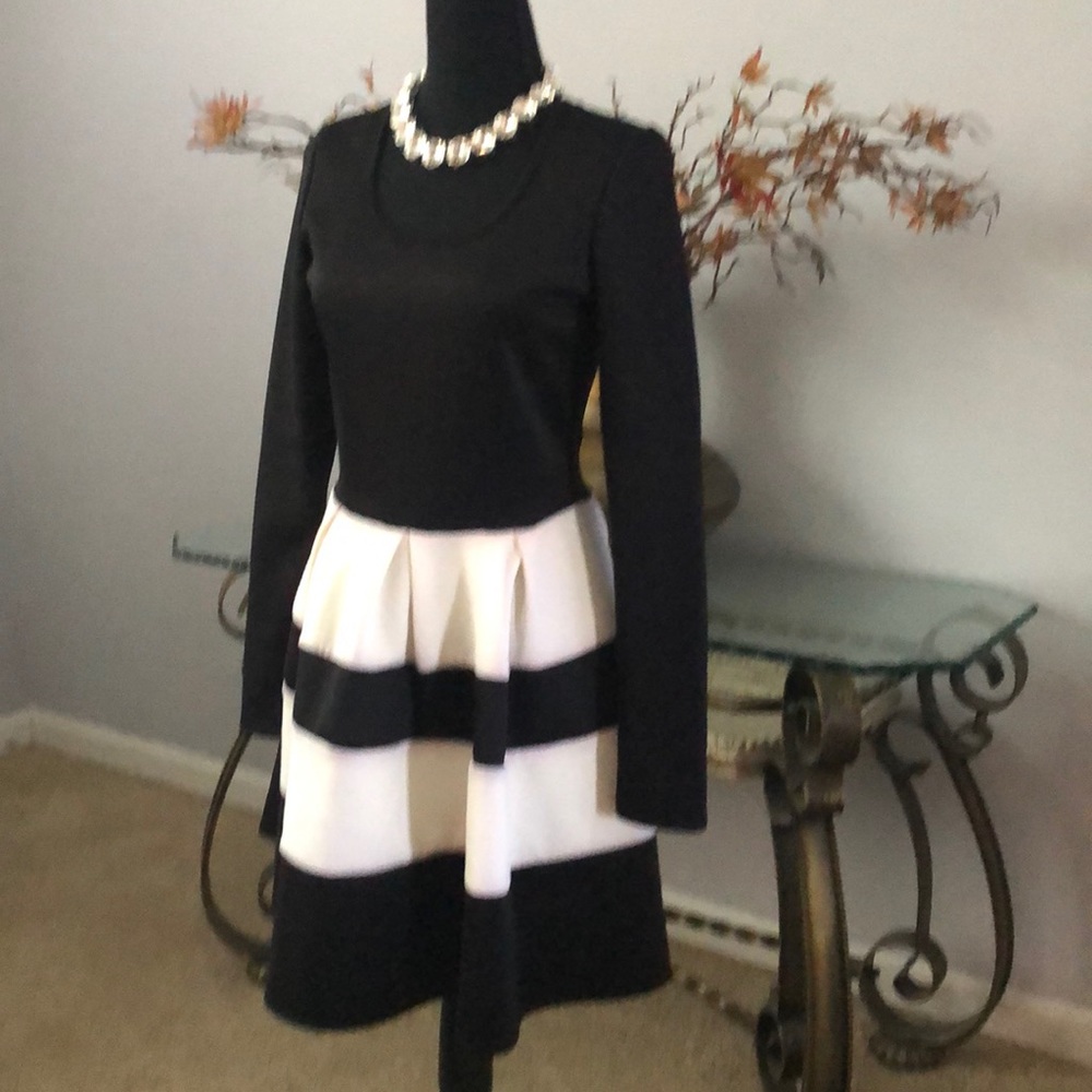 Black and White Dress - Picture 2 of 12